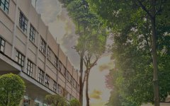 柬埔寨開工廠，難度究竟藏在哪?