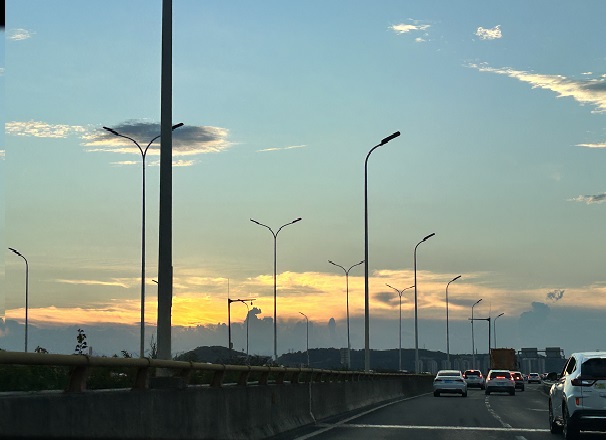 在意大利的商業(yè)法律框架下，公司常見的類型包含哪些?