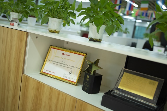 阿布扎比公司注銷全流程：合規(guī)操作與風(fēng)險防控